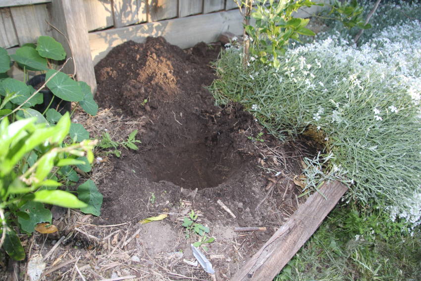 Compost Holes2